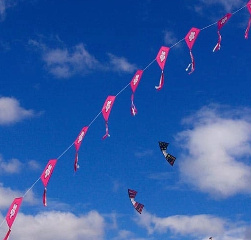 Cherry Blossom Festival
