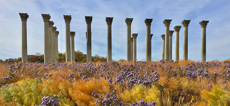 National Arboretum